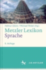Image for Metzler Lexikon Sprache