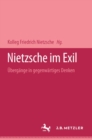 Image for Nietzsche im Exil: Ubergange in gegenwartiges Denken