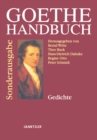 Image for Goethe-Handbuch: Sonderausgabe