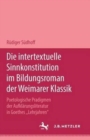 Image for Die intertextuelle Sinnkonstitution im Bildungsroman der Weimarer Klassik