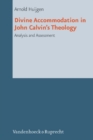Image for Divine Accommodation in John Calvins Theology