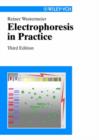 Image for Electrophoresis in Practice