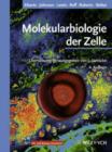 Image for Molekularbiologie Der Zelle