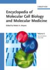 Image for Encyclopedia of Molecular Cell Biology and Molecular Medicine, Volume 6