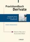Image for Praxishandbuch Derivate : Strategischer Einsatz Von Kredit, Zins und Fondsderivaten