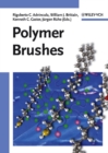 Image for Polymer brushes: synthesis, characterization, applications