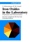 Image for Iron oxides in the laboratory: preparation and characterization
