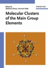 Image for Molecular Clusters of the Main Group Elements