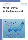 Image for What is what in the nanoworld: a handbook on nanoscience and nanotechnology