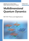 Image for Multidimensional quantum dynamics: MCTDH theory and applications