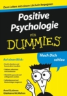 Image for Positive Psychologie fur Dummies