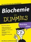 Image for Biochemie fur Dummies