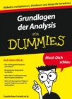 Image for Grundlagen der Analysis fur Dummies