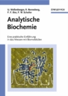 Image for Analytische Biochemie: Eine praktische Einfuhrung in das Messen mit Biomolekulen