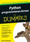 Image for Python programmieren lernen fur Dummies