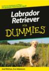 Image for Labrador-Retriever Fur Dummies