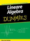 Image for Lineare Algebra Fur Dummies