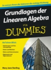 Image for Grundlagen der Linearen Algebra fur Dummies