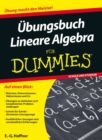 Image for UEbungsbuch Lineare Algebra fur Dummies
