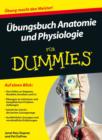 Image for UEbungsbuch Anatomie und Physiologie fur Dummies