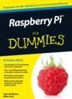 Image for Raspberry Pi Fur Dummies