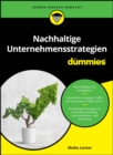 Image for Nachhaltige Unternehmensstrategien fur Dummies