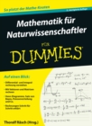 Image for Mathematik fur naturwissenschaftler fur dummies