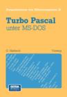 Image for Turbo Pascal unter MS-DOS