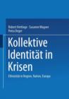Image for Kollektive Identitat in Krisen : Ethnizitat in Region, Nation, Europa