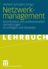 Image for Netzwerkmanagement : Koordination von professionellen Vernetzungen - Grundlagen und Praxisbeispiele