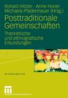 Image for Posttraditionale Gemeinschaften : Theoretische und ethnografische Erkundungen