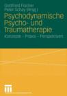 Image for Psychodynamische Psycho- und Traumatherapie : Konzepte - Praxis - Perspektiven