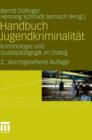 Image for Handbuch Jugendkriminalitat : Kriminologie Und Sozialpadagogik Im Dialog