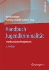 Image for Handbuch Jugendkriminalitat: Interdisziplinare Perspektiven