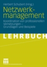 Image for Netzwerkmanagement: Koordination von professionellen Vernetzungen - Grundlagen und Praxisbeispiele