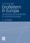 Image for Grosseltern in Europa: Generationensolidaritat im Wohlfahrtsstaat