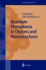 Image for Quantum phenomena in clusters and nanostructures