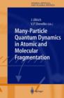 Image for Many-Particle Quantum Dynamics in Atomic and Molecular Fragmentation