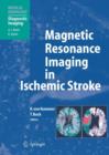 Image for Magnetic Resonance Imaging in Ischemic Stroke