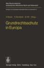 Image for Grundrechtsschutz in Europa