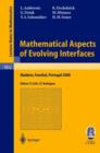 Image for Mathematical Aspects of Evolving Interfaces