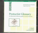 Image for Protoctist Glossary