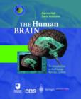 Image for The Human Brain : An Introduction to the Human Nervous System