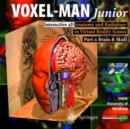 Image for VOXEL-MAN Junior : Brain and Skull