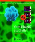 Image for Vom Eiwei zur Zelle : Molekule des Lebens