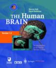 Image for The Human Brain : An Introduction to the Human Nervous System : Version 1.5