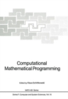 Image for Computational Mathematical Programming