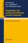 Image for Singularities and Constructive Methods for Their Treatment