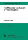 Image for Molecular Mechanism of Photoreception : Report of the Dahlem Workshop on the Molecular Mechanism of Photoreception, Berlin 1984, November 25-30