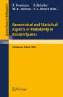 Image for Geometrical and Statistical Aspects of Probability in Banach Spaces